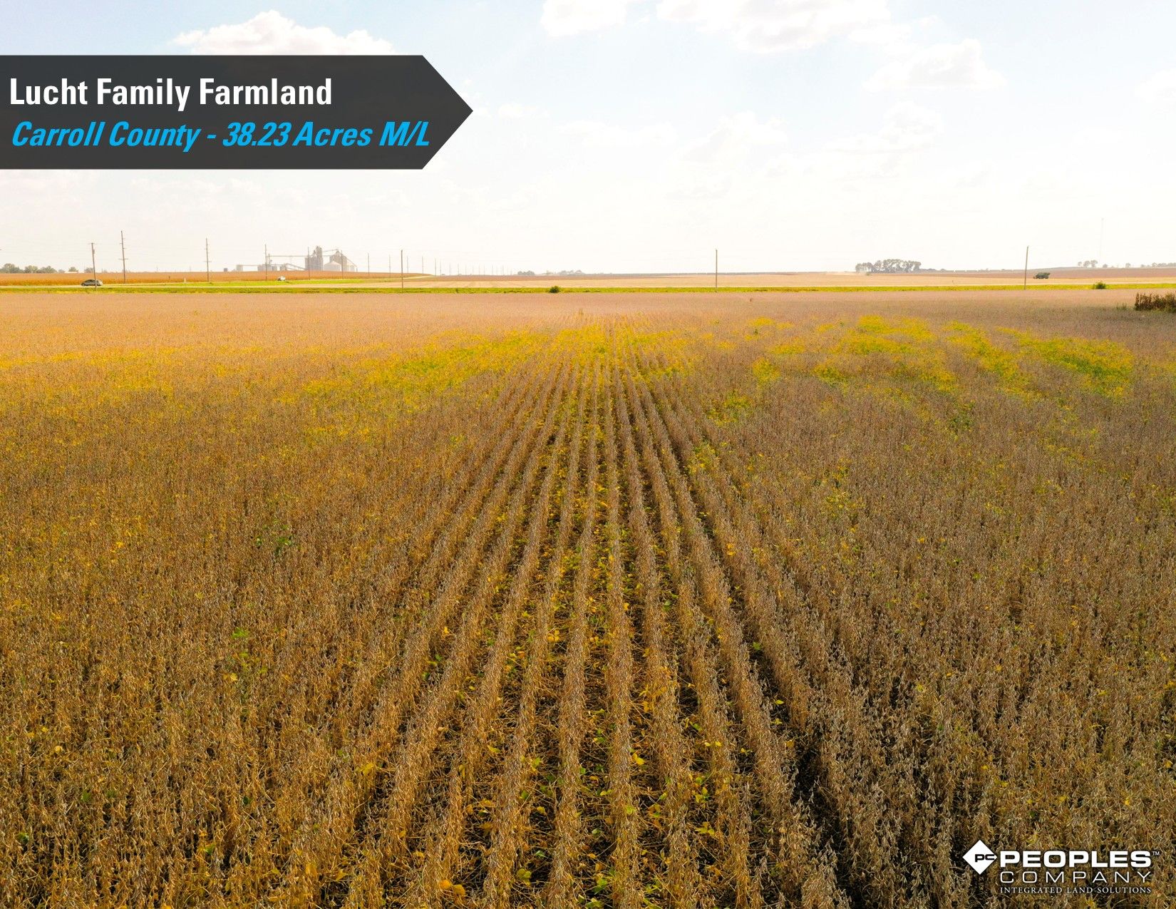 Listing Photo: Lucht-Family-Farmland-Auction-Online-Carroll-County-Iowa-38.23Acres (9)